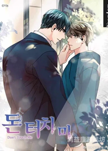 韩漫之家，探索韩国漫画的全球影响力与独特魅力韩漫之家下载正版官网