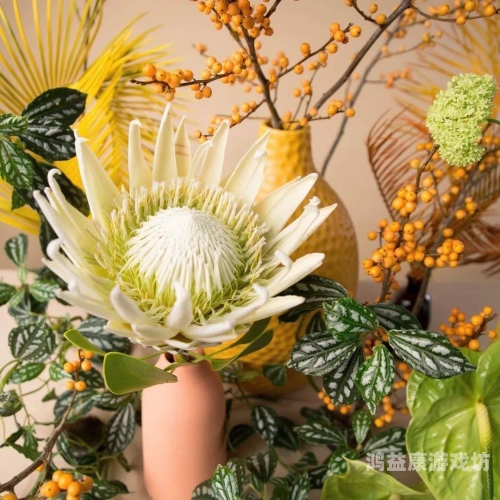 日韩在线草，探索日韩文化中的自然与生活美学