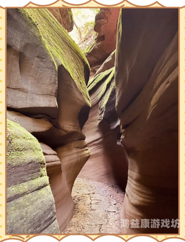 亚洲日韩图片专区第1页，探索视觉盛宴与文化魅力