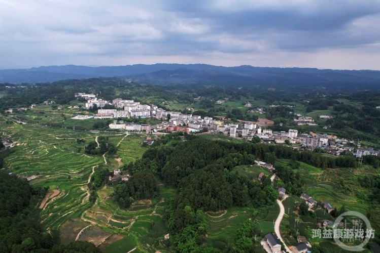 久久综合一区二区，深度解析与未来发展展望