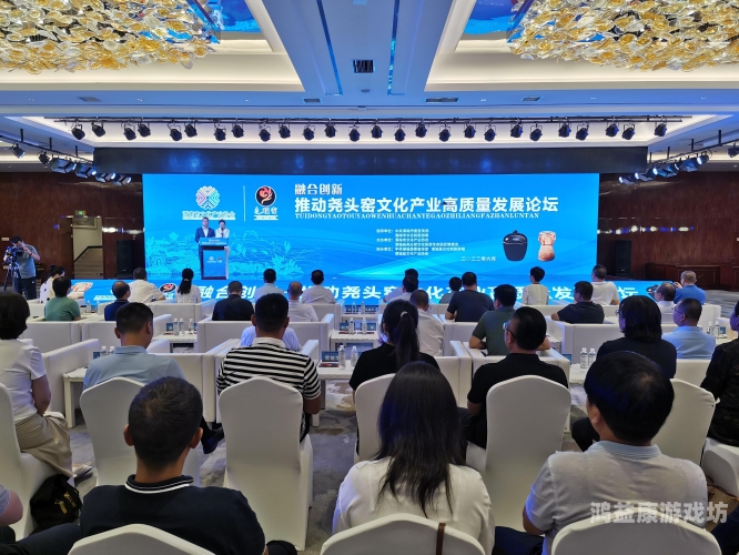 久久亚洲人成国产精品，文化融合与创新发展的典范久久久亚叫欧洲