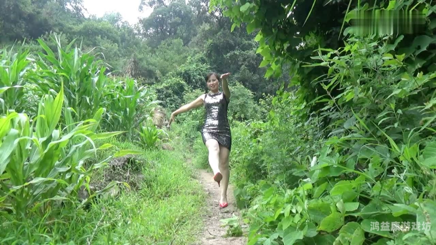 国产熟女视频草草影院，现象、影响与未来趋势