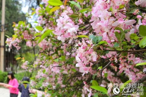 亚洲校园春色，另类激情与文化碰撞