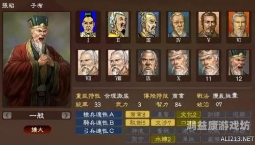 三国群英志攻略，深度解析三国时期的英雄们