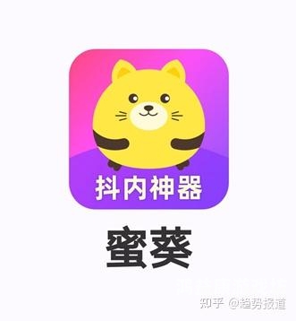 久久久91精品一区二区，探索数字时代的内容消费新趋势