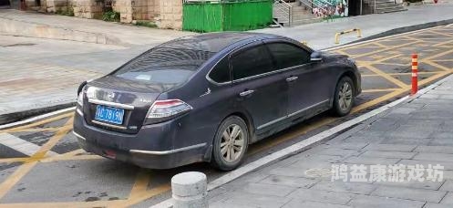 车牌尾号666过完户车主突然失联，背后隐藏的真相令人震惊