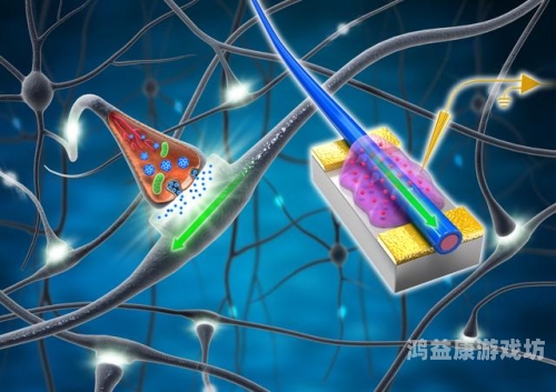 超级计算机算出人类灭绝时间，未来真的如此悲观吗？