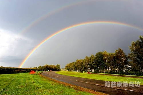 一道本AV免费不卡播放，解析在线视频播放的技术与趋势