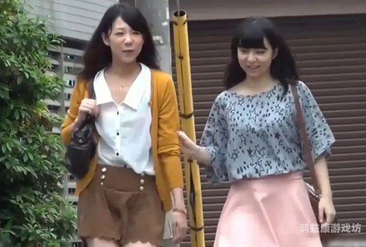 日本二区三区视频中文文字幕，深入解析与观看指南