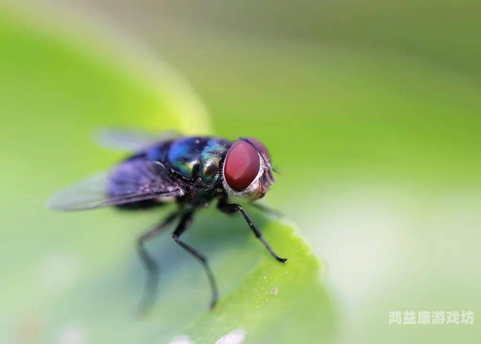 无码秘一区二三区_亚洲中文字幕在线观看，探索数字时代的影视娱乐新趋势