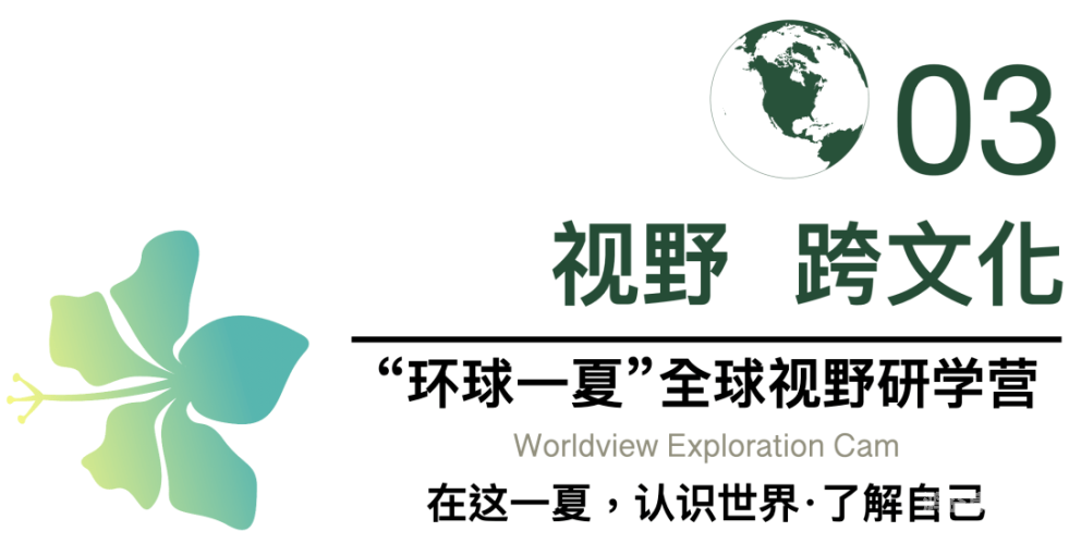 探索多元文化，理解与尊重在全球视野下的重要性