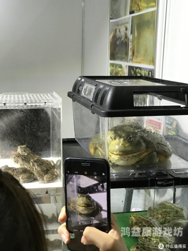 在线亚洲ⅴ天堂网2018，回顾与展望，探讨在线视频平台的崛起与发展亚天堂aw