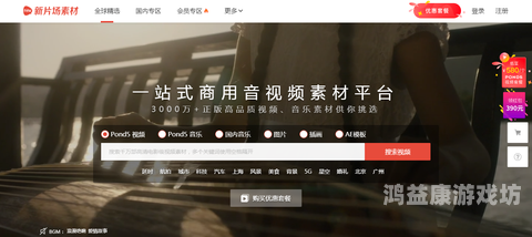 从入门到精通，PP视频深度解析与实战技巧指南pp视频下载安装看电视剧