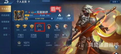 王者荣耀名字空白代码，揭秘背后的故事与设计理念