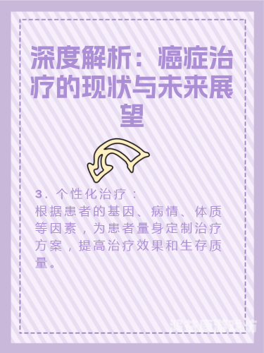 国产99视频精品专区，深度解析与未来展望