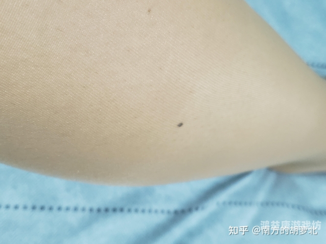 国产丝袜视频一区二区三区，揭秘网络视频分区的背后逻辑