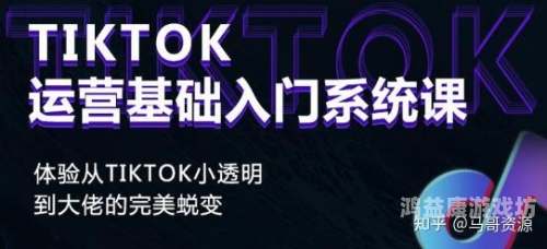 完美官网，打造高效、透明、安全的在线服务平台