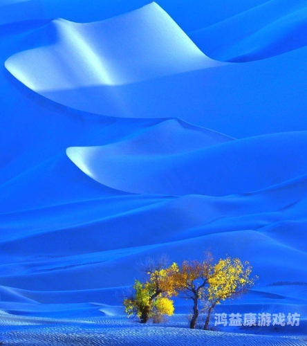 五月的丁香六月的婷婷综合，自然与人文的交响曲