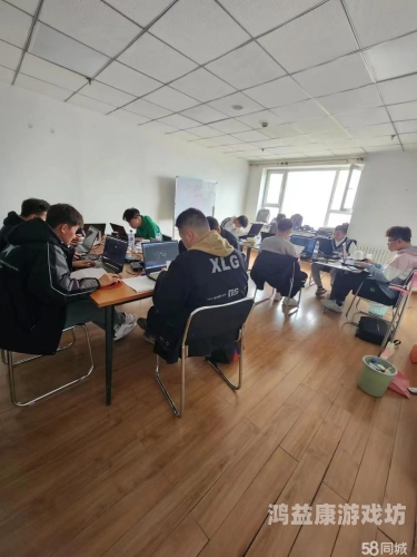 安装，确保您的系统顺畅运行与高效数据传输安装师傅接单平台app