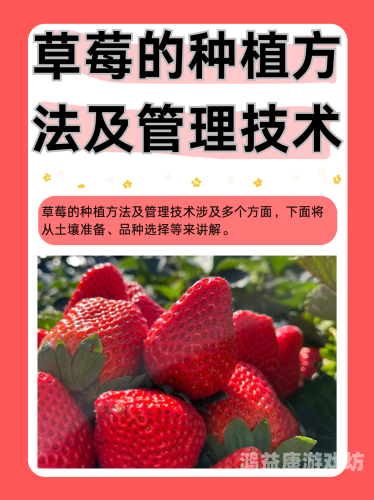 极品少妇被猛得白浆直流草莓——揭秘草莓种植与采摘的奥秘