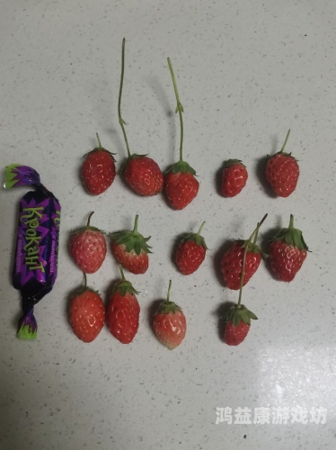 极品少妇被猛得白浆直流草莓——揭秘草莓种植与采摘的奥秘