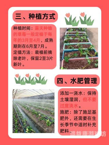 极品少妇被猛得白浆直流草莓——揭秘草莓种植与采摘的奥秘