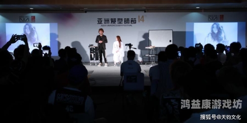 另类亚洲，日本一区与二区的文化差异与特色解析