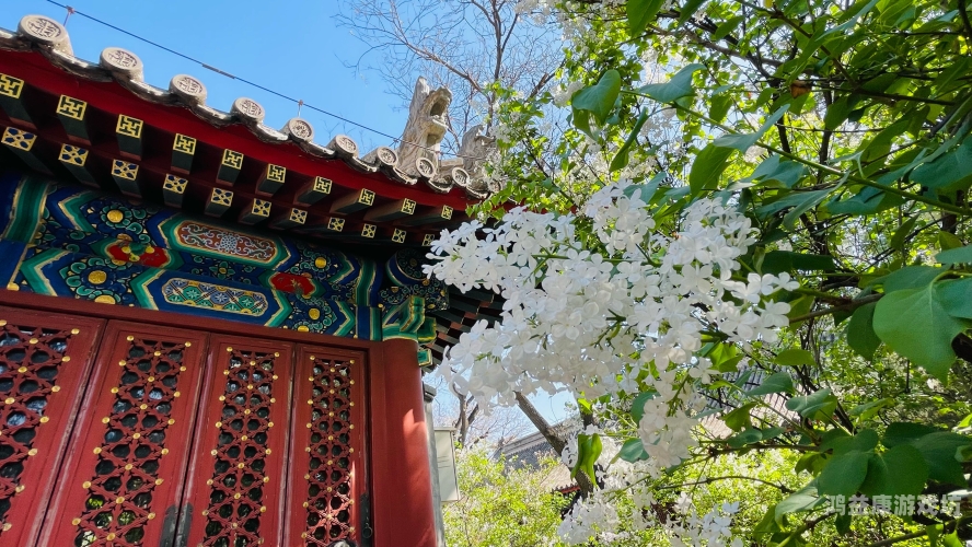 五月丁香久久，探寻丁香花的文化意蕴与生态价值