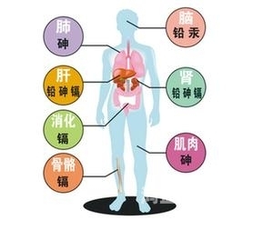 揭秘又坚又硬水有多少妇18p背后的真相，水质与水蜜桃在线播放的关系