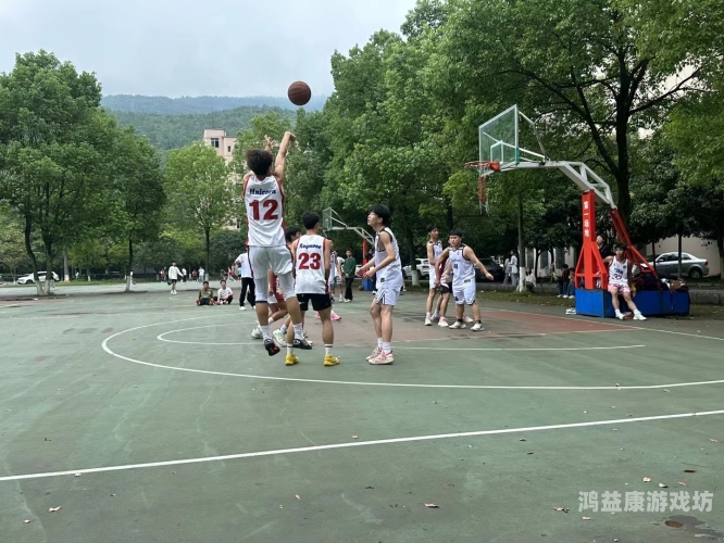 街头篮球官网，展现热血青春与运动激情