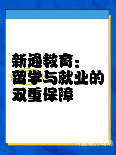 久久精品一级，品质与口碑的双重保障