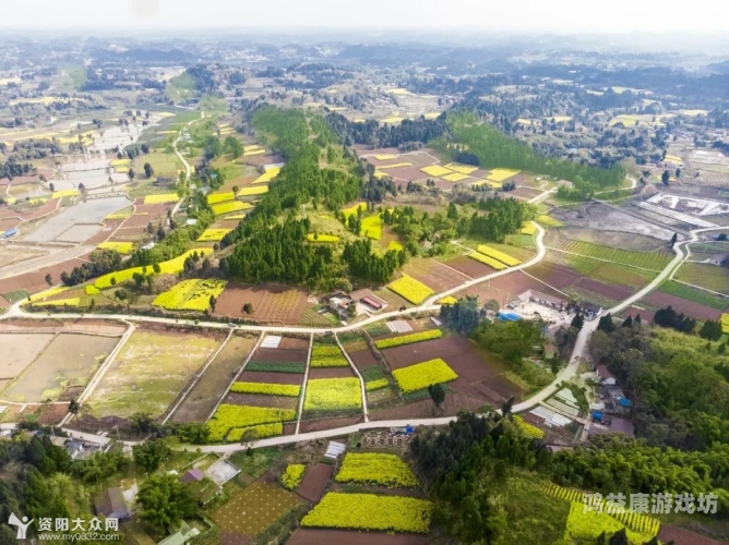 国产农村乱子仑一区区三区，乡村振兴中的挑战与机遇