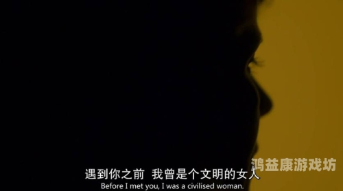 揭秘人妻国，现代社会中的婚姻观念与女性角色变迁
