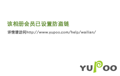 中文字幕二区，探索影视字幕翻译的奥秘与魅力