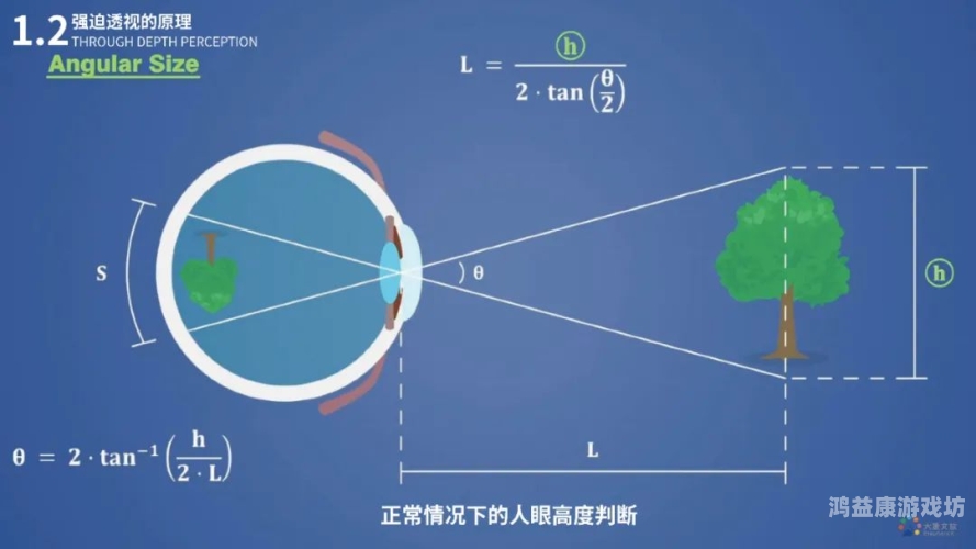 从多个角度看视角一词的深层含义perspectives