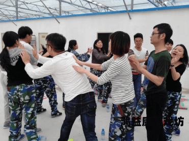 99久久激情理伦，探索激情与理性的完美平衡
