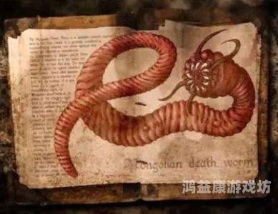 美国禁区，神秘与传说的交织之地