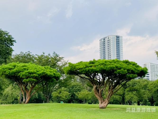 东京一区二区三区高清视频全解析，探索东京的独特魅力东京一区二区三区高清视频|久久香蕉综合色一综