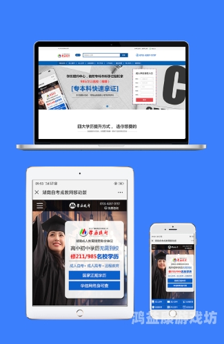 国产成人亚洲精品96，探索亚洲成人影视产业的崛起与影响