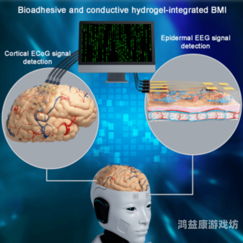 成在人线AV无码免观看VR，技术革新与伦理挑战的双重审视人 成 a v 在 线