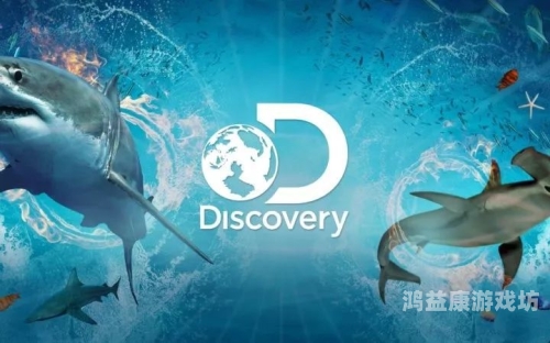 外国福利在线观看入口，探索全球优质内容的新途径国外app 福利