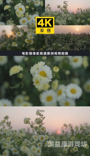 野花高清在线观看视频720