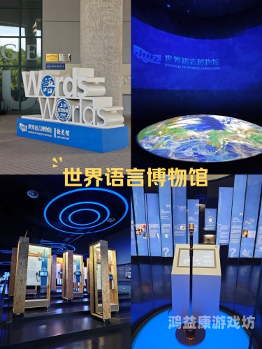 探索中文世界的多维魅力，从语言到文化，一次全面而深入的揭秘