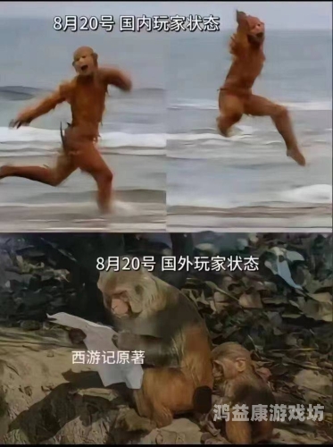 亚洲中文字幕日本，跨文化交流的桥梁与挑战今天高清视频在线观看