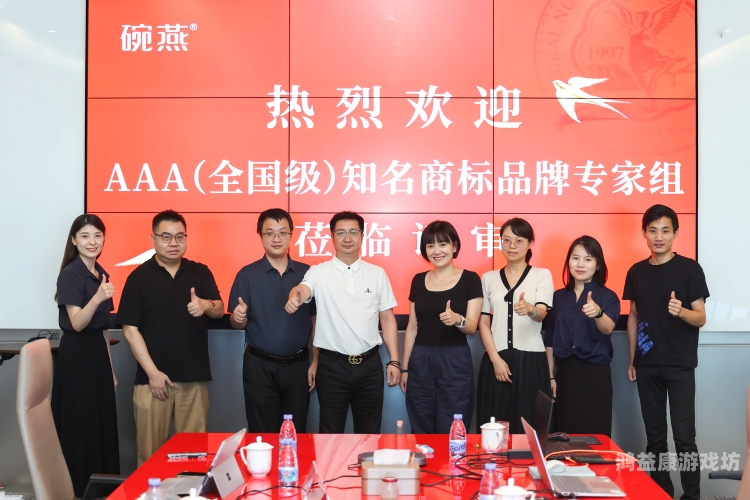 AAA国产一级精品，品质与创新的完美结合