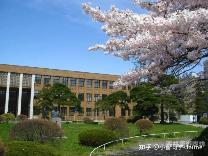 日本中文一二区高清在线，探索日本文化与娱乐的新窗口