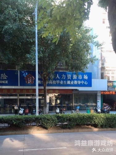日本免费一二区资源分享平台解析，合法性与风险探讨