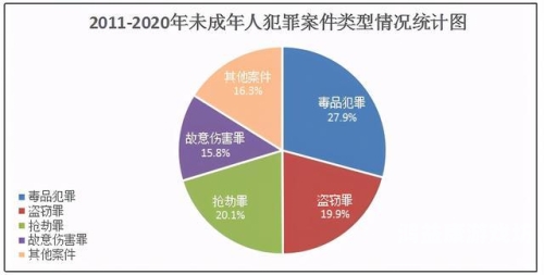 2020年成人影片市场趋势分析，内容多样化与消费者偏好
