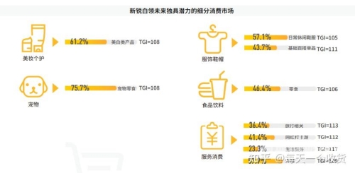 国产成人内容崛起，亚洲与欧美市场的综合对比分析