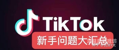 TikTok加速器永久免费版，提升你在TikTok上的表现与影响力的秘密武器